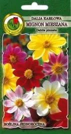 pnos-dalia-pojedyncza-mignon-mieszanka-1g