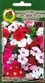 pnos-floks-drumonda-mieszanka-08g