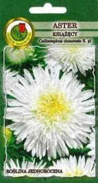 pnos-aster-chinski-ksiazecy-bialy-08g