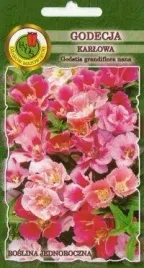 pnos-godecja-karlowa-mieszanka-1g