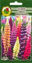 pnos-lubin-trwaly-russel-mieszanka-2g