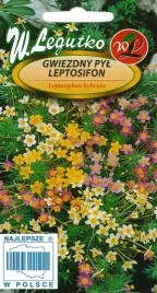 legutko-gwiezdny-pyl-leptosifon-mieszanka-01g