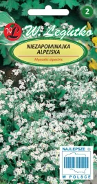 legutko-niezapominajka-alpejska-biala-03g