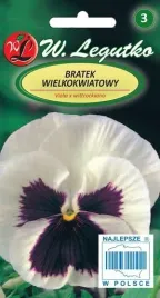 legutko-bratek-wielkokwiatowy-silberbraut-bialy-z-plama-05g