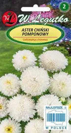 legutko-aster-chinski-pomponowy-bialy-1g