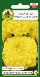 pnos-aksamitka-pelna-wysoka-mann-im-mond-cytrynowa-1g