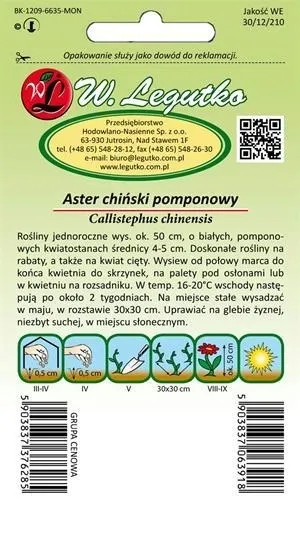 legutko-aster-chinski-pomponowy-bialy-1g-rodzaj-rosliny-astry