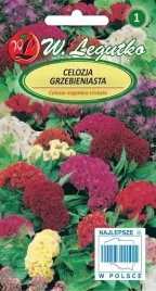 legutko-celozja-grzebieniasta-mieszanka-03g