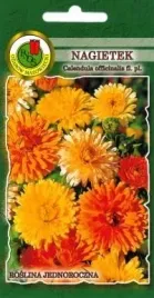 pnos-nagietek-niski-mieszanka-3g