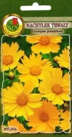 pnos-nachylek-trwaly-zlotozolty-1g