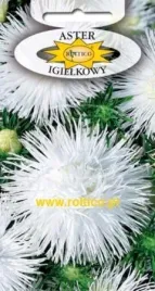 roltico-aster-chinski-igielkowy-bialy-1g