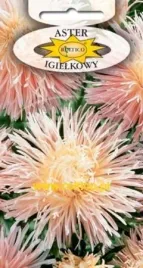 roltico-aster-chinski-igielkowy-lososiowy-1g