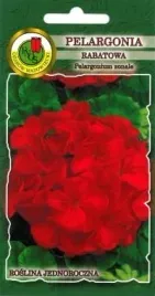 pnos-pelargonia-rabatowa-f1-czerwona-10z