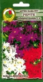 pnos-aster-chinski-karlowy-petite-mieszanka-08g