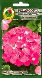pnos-pelargonia-rabatowa-f1-rozowa-10z