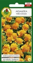 pnos-aksamitka-pelna-niska-izolda-pomaranczowa-1g