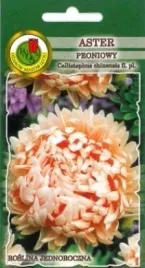 pnos-aster-chinski-peoniowy-lososioworozowy-08g