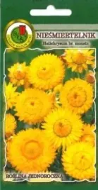 pnos-niesmiertelnik-zolty-15g