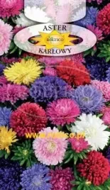 roltico-aster-chinski-karlowy-mieszanka-1g