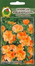 pnos-godecja-wielkokwiatowa-orange-glory-pomaranczowa-1g