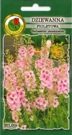 pnos-dziewanna-fioletowa-mieszanka-01g