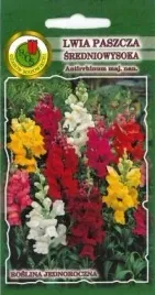 pnos-lwia-paszcza-sredniowysoka-mieszanka-05g