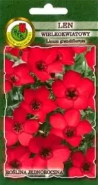pnos-len-wielkokwiatowy-czerwony-05g