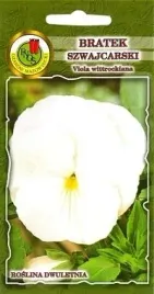 pnos-bratek-szwajcarski-firnenschnee-kremowbialy-08g