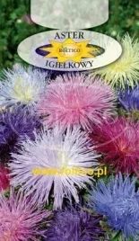 roltico-aster-chinski-igielkowy-mieszanka-1g