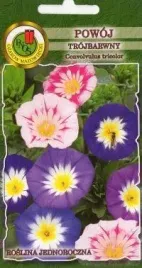 pnos-powoj-trojbarwny-mieszanka-2g