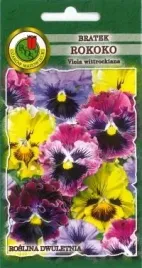 pnos-bratek-szwajcarski-rokoko-03g