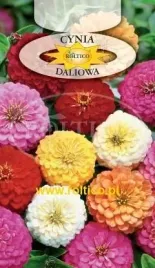 roltico-cynia-wytworna-daliowa-mieszanka-1g