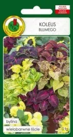 pnos-koleus-blumego-mieszanka-01g