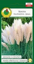 pnos-trawa-pampasowa-biala-01-g
