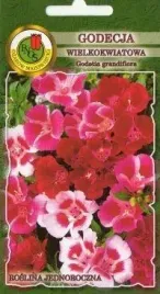 pnos-godecja-wielkokwiatowa-mieszanka-1g