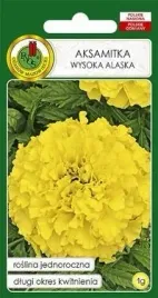 pnos-aksamitka-pelna-wysoka-alaska-jasnocytrynowa-1g