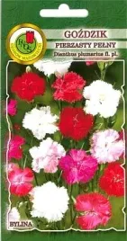 pnos-gozdzik-pierzasty-pelny-mieszanka-03g