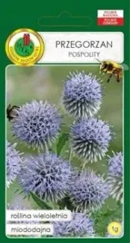 pnos-przegorzan-pospolity-1-g