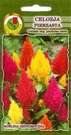 pnos-celozja-pierzasta-niska-mieszanka-03g