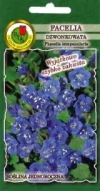 pnos-facelia-dzwonkowata-niebieska-08g