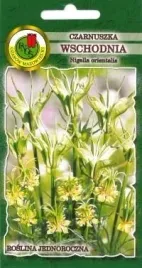 pnos-czarnuszka-wschodnia-1g