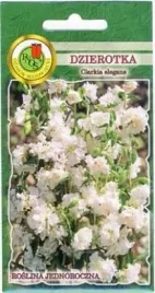 pnos-dzierotka-biala-1g