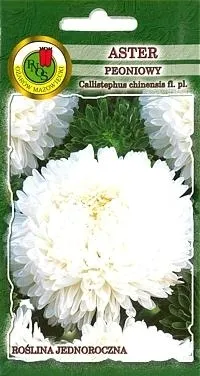 pnos-aster-chinski-peoniowy-bialy-08g