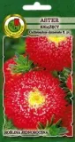 pnos-aster-chinski-ksiazecy-czerwony-08g