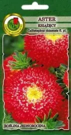 pnos-aster-chinski-ksiazecy-czerwony-08g