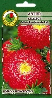 pnos-aster-chinski-ksiazecy-czerwony-08g