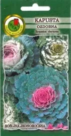 pnos-kapusta-ozdobna-mieszanka-03g