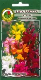 pnos-lwia-paszcza-wysoka-mieszanka-05g