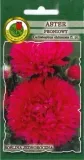 pnos-aster-chinski-peoniowy-czerwony-08g
