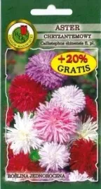 pnos-aster-chinski-chryzantemowy-mieszanka-08g